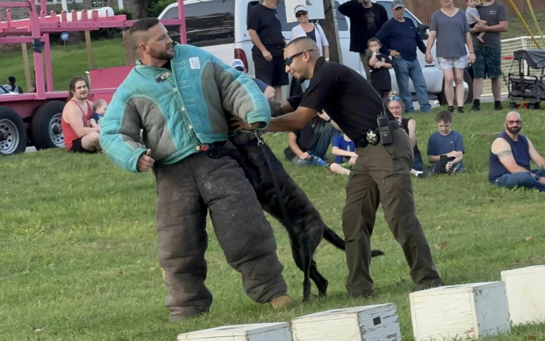 Lcso Participates in K9 Demo at Loudon Riverfest