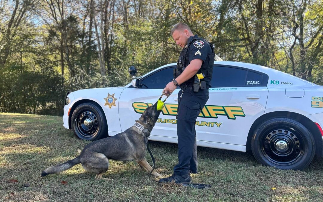 Meet Our Newest Four-Legged Deputy!